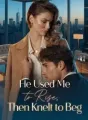 He Used Me to Rise, Then Knelt to Beg cover