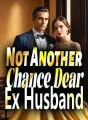 Not Another Chance, Dear Ex Husband cover
