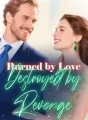 Burned by Love, Destroyed by Revenge cover