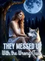 They Messed With The Wrong Twin cover