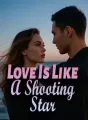 Love Is Like A Shooting Star cover