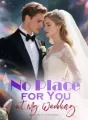 No Place for You at My Wedding cover