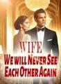 Wife, We will Never See Each Other Again cover
