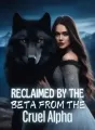 Reclaimed by the Beta From the Cruel Alpha cover