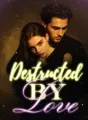 Destructed by Love cover