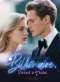 Dumped the Billionaire, Dated a Model cover
