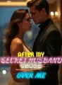 After My Secret Husband Chose Her Over Me cover