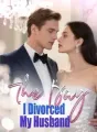The Day I Divorced My Husband cover