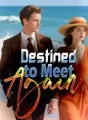 Destined to Meet Again cover