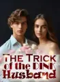 The Trick of the DINK Husband cover