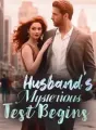 Husband's Mysterious Test Begins cover