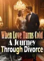 When Love Turns Cold: A Journey Through Divorce cover