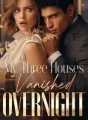 My Three Houses Vanished Overnight cover
