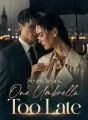 Seven Years, One Umbrella Too Late cover