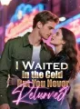 I Waited in the Cold, But You Never Returned cover