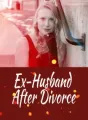 Ex-Husband After Divorce cover