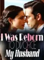 I Was Reborn to Divorce My Husband cover