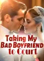 Taking My Bad Boyfriend to Court cover