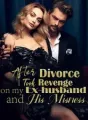 After Divorce, I Took Revenge on my Ex-husband and His Mistress cover