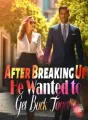 After Breaking Up, He Wanted to Get Back Together cover