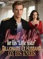 Divorced His Wife for His “Little Sister”,Billionaire Ex Husband on His Knees cover