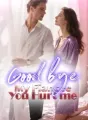 Good bye, My Fiancee, You Hurt me! cover