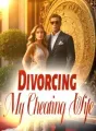 Divorcing My Cheating Wife cover