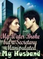 My Water Broke, but a Secretary Manipulated My Husband cover