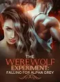 The Werewolf Experiment: Falling For Alpha Grey cover