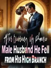 After Divorcing My Phoenix Male Husband, He Fell from His High Branch
