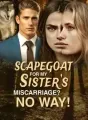 Scapegoat for My Sister's Miscarriage? No Way! cover