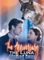 The Anniversary the Luna Walked Away cover