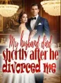 My Husband Died Shortly After He Divorced Me cover