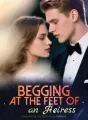 Begging at the Feet of an Heiress cover