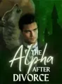 The Alpha After Divorce cover