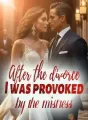 After the divorce, I was provoked by the mistress cover