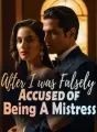 After I was Falsely Accused of Being A Mistress cover