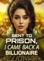Sent to Prison, I Came Back a Billionaire cover