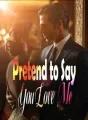 Pretend to Say You Love Me cover