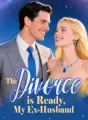 The Divorce is Ready, My Ex-Husband cover