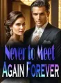 Never to Meet Again Forever cover