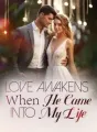 Love Awakens: When He Came into My Life cover