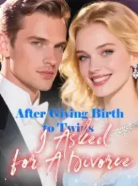 After Giving Birth to Twins, I Asked for A Divorce