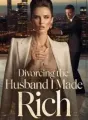 Divorcing the Husband I Made Rich cover