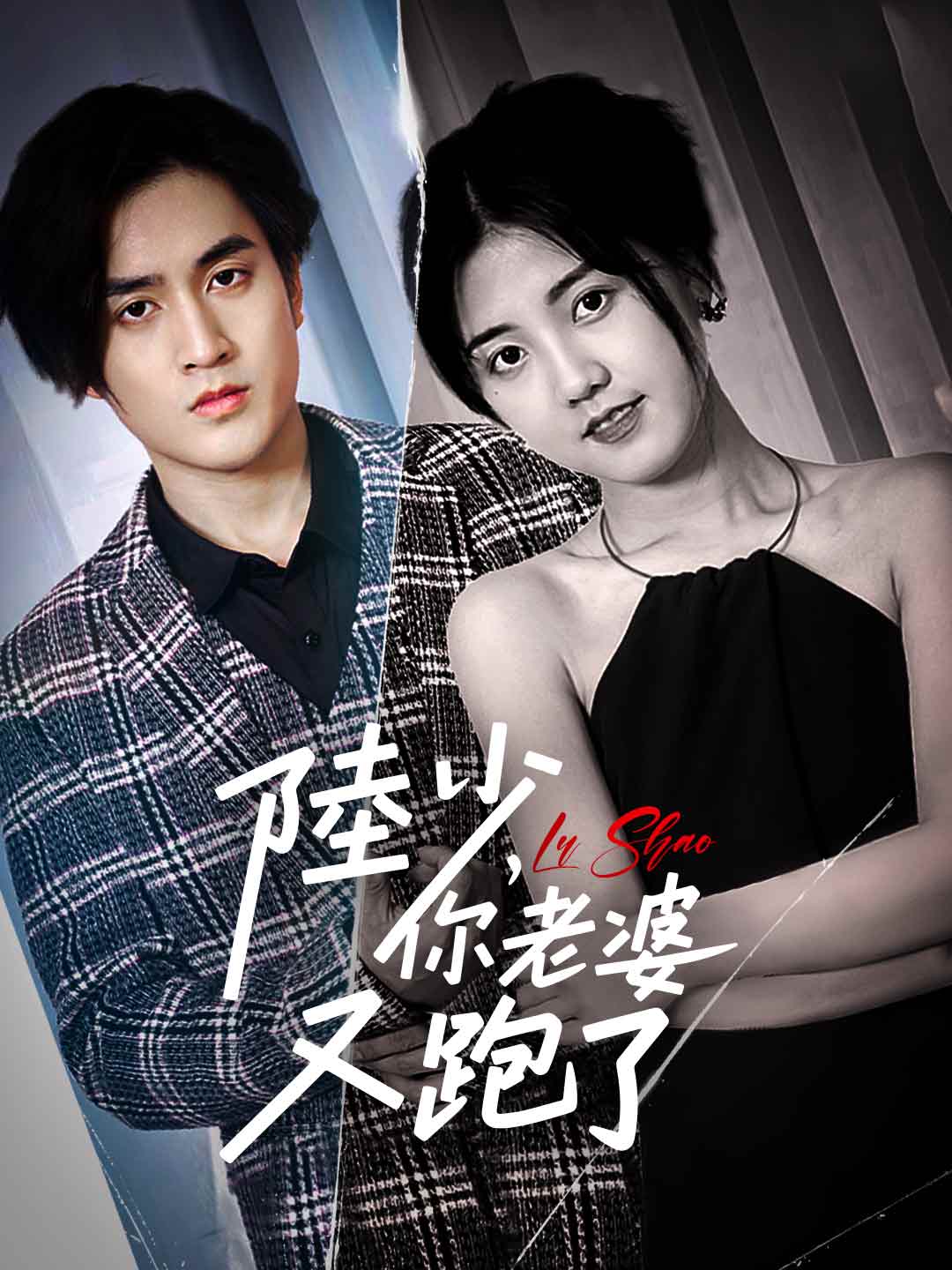 陸少，你老婆又跑了