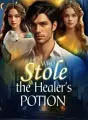 Who Stole The Healer's Potion? cover