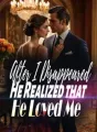 After I Disappeared, He Realized that He Loved Me cover