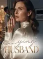 Divorcing My Lying Husband cover