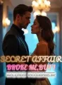 His Secret Affair Broke Me,But I Rose Higher cover