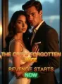 The CEO's Forgotten Wife My Revenge Starts Now cover